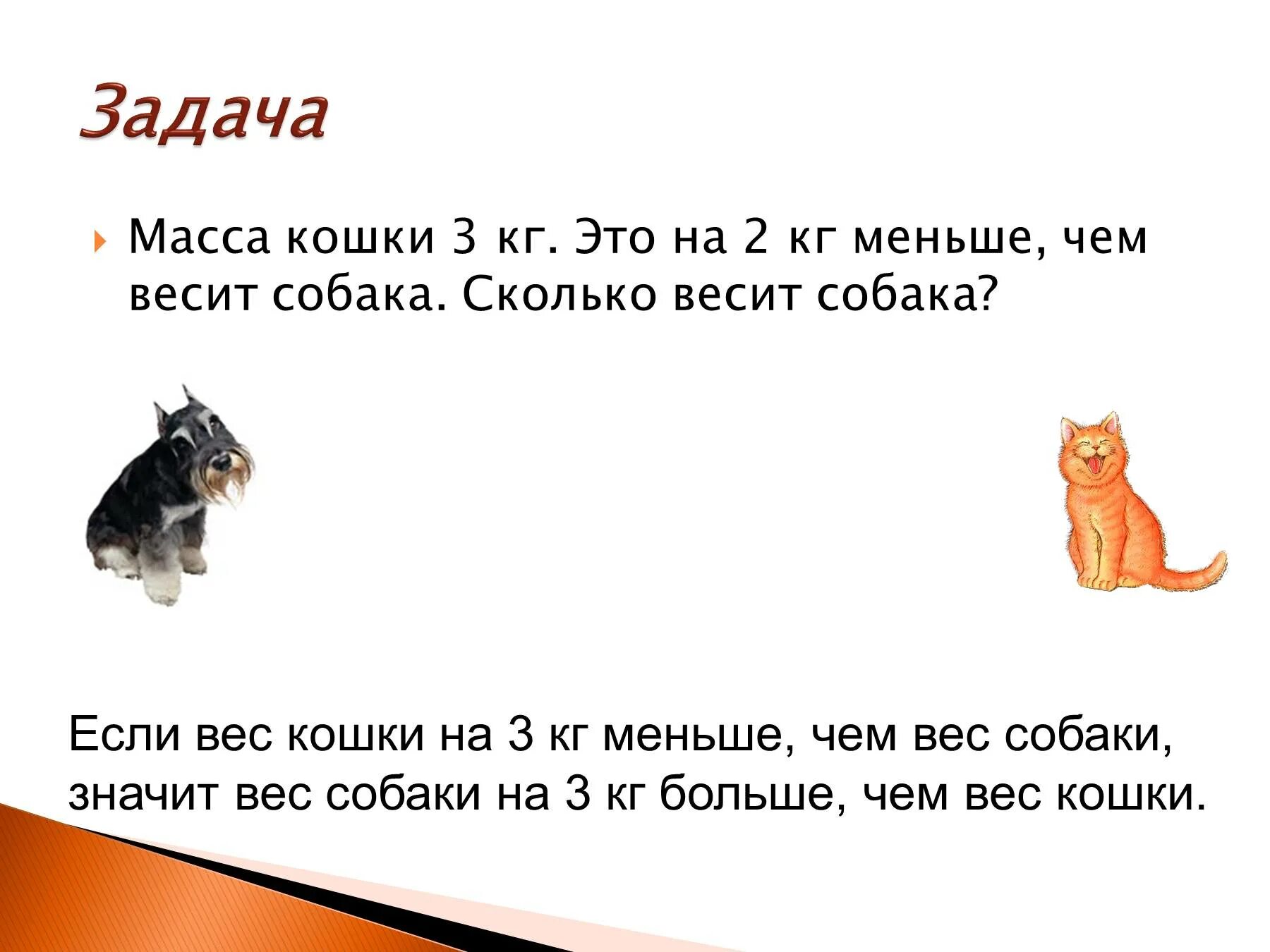 Задачки про кошек. Задача про кошек. Задачи про животных. Задачи по математике про животных. Собака и кошка весят