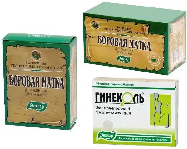 Боровая матка при месячных. Боровая матка. боровая матка таблетки. боровая матка для беременности. баровая матка.