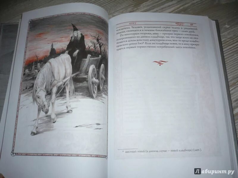 Создания света создания тьмы. Анджей сапковский бестиарий. бестиарий света тьмы сапковский. книга бестиарий сапковского. бестиарий создания света мрака полумрака.