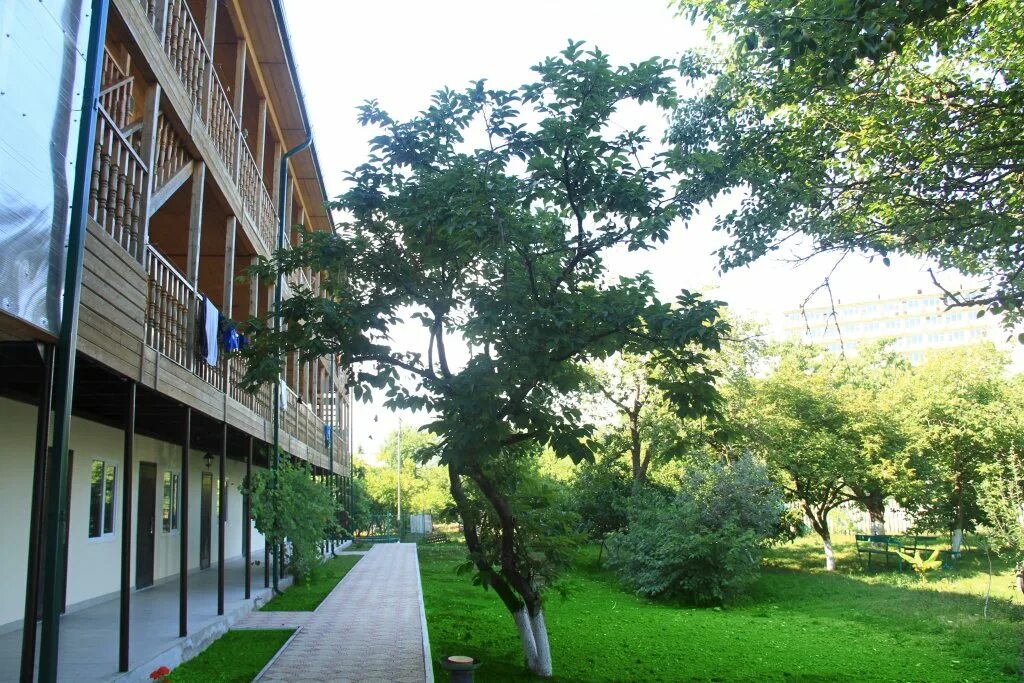 Арго абхазия гудаута. Арго гудаута. Пансионат арго абхазия гудаута. Арго гудаута. Гостиница арго абхазия гудаута.