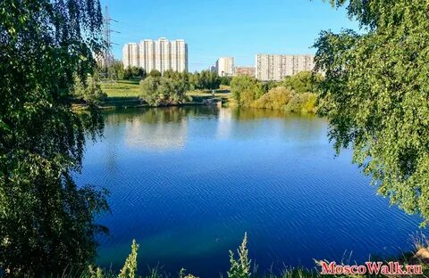 Вода митино