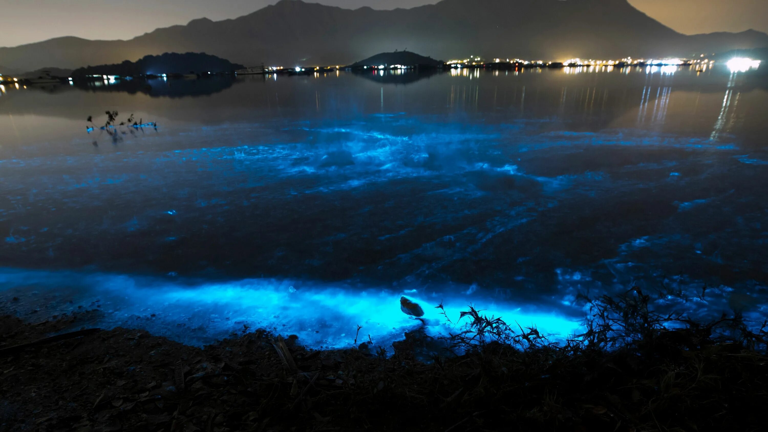Glowing beach