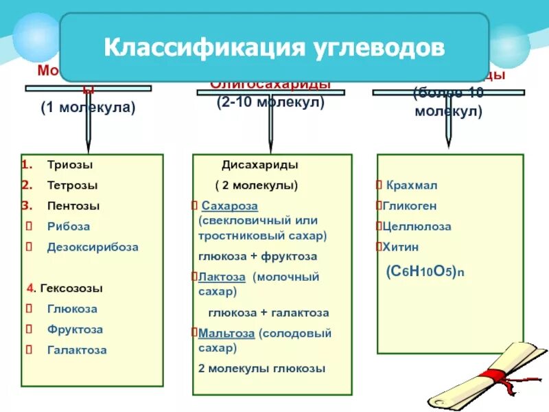 Углеводы их строение и функции 10 класс. Углеводы их строение и функции 10 класс