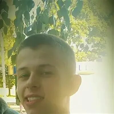 Фамилия ястреб. Фамилия ястреб. Ястреб фамилия. Фамилия ястреб. Фамилия ястреб.