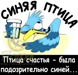 Гуляем бухаем