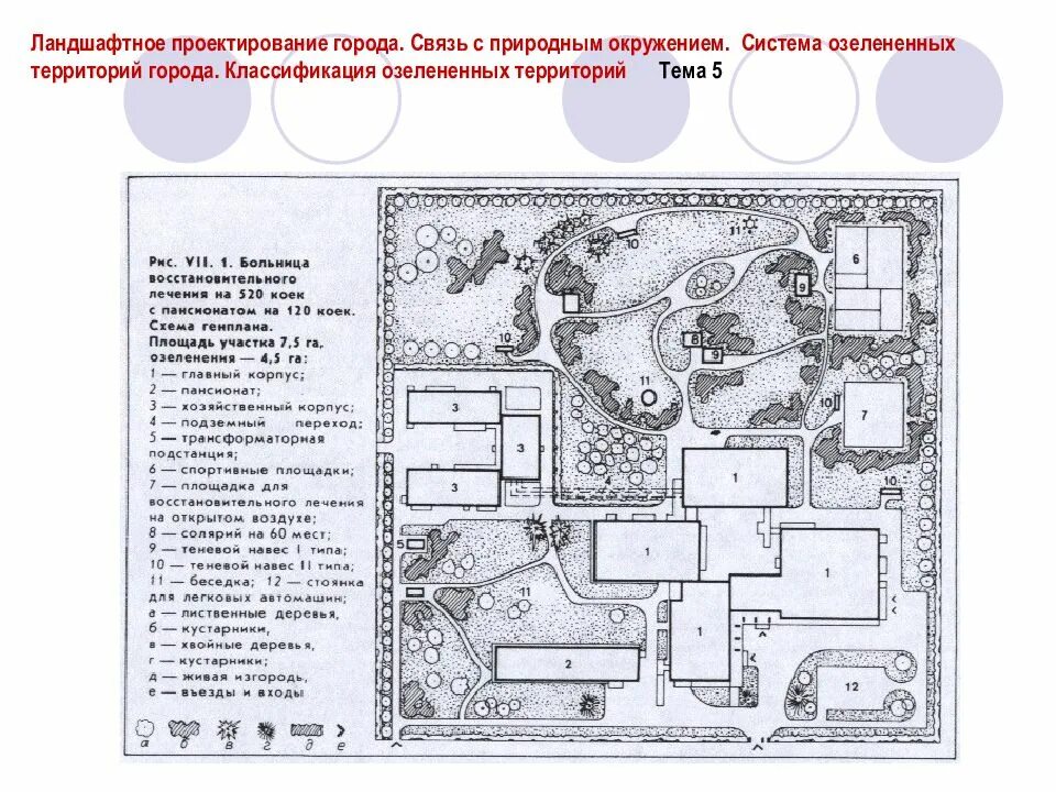 На территории города 2 5. Классификация озелененных территорий. классификация озелененных территорий города. перечислите категории и типы озелененных территорий города. озеленение городских территорий (классификация, типы систем, примеры).