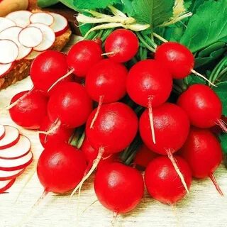 Горечь редиски