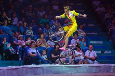 Цирк камышин август 2024
