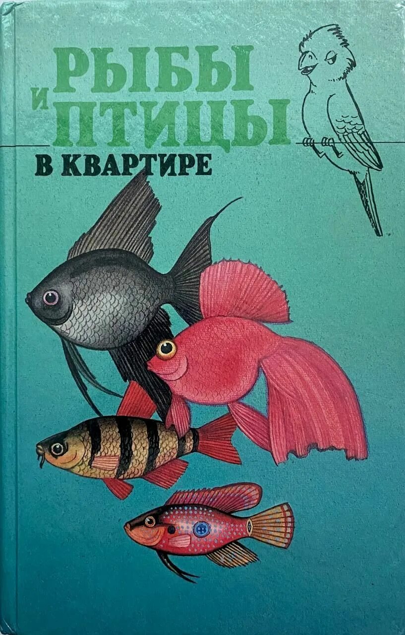 Книги про рыб. Книжка про рыбок. Обложка для книги рыбка в аквариуме. Рвба ЮЮ. Рыба книги купить