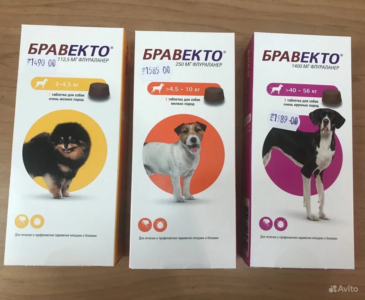 От клещей для собак минск. Таблетка от клещей для собак на 3 месяца бравекто. бравекто 2-4.5. бравекто для собак 60 кг. таблетка бравекто до 10 кг 2шт.