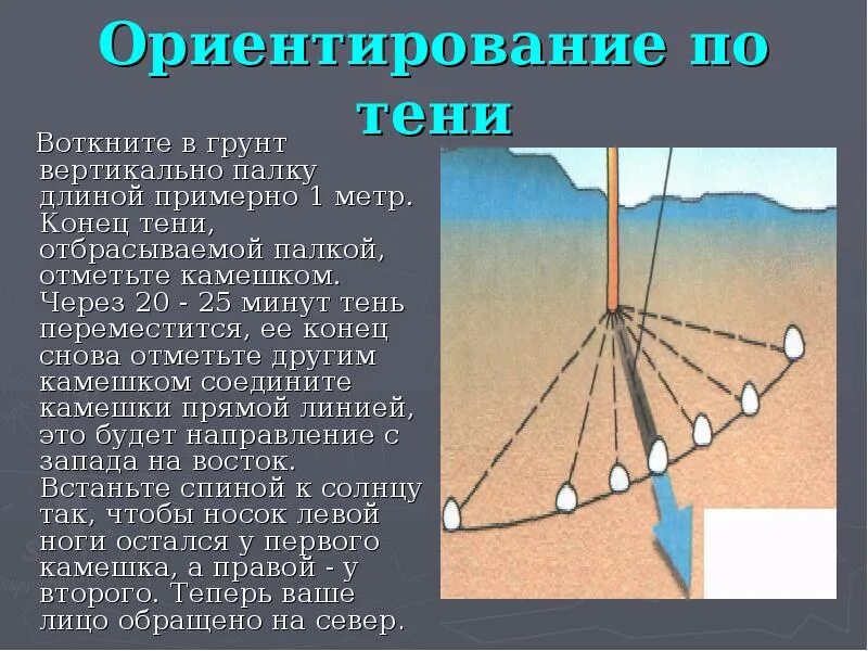 Находит тень и дню. Находит тень и дню