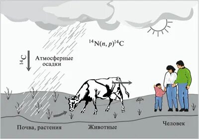 Зависимость от животных