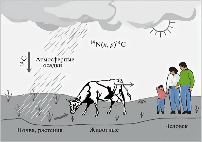Зависит ли жизнь