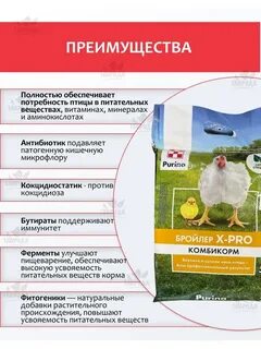 Как кормить бройлеров комбикормом