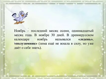 Ноябрь 11 месяц
