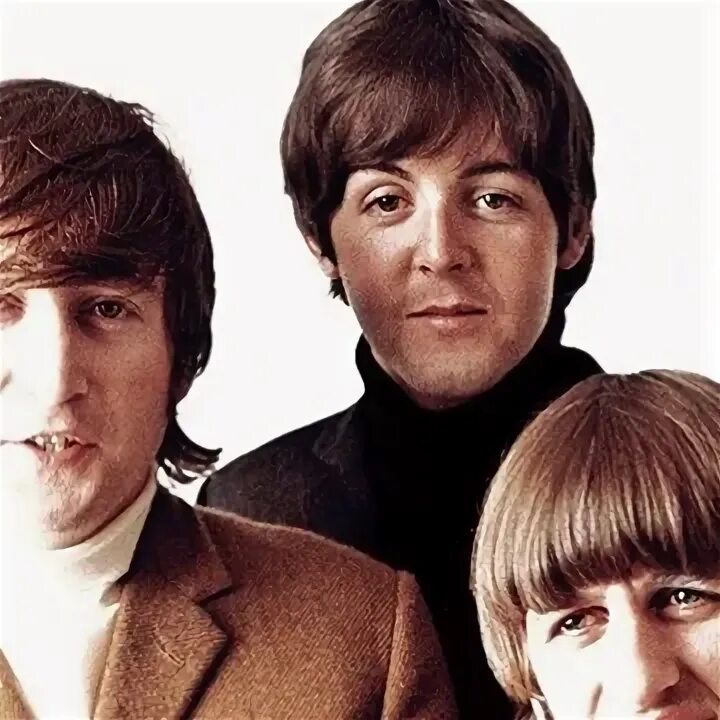 Битлз фест. The beatles жуки. битлз жуки. битлак.