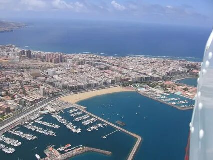 Las palmas
