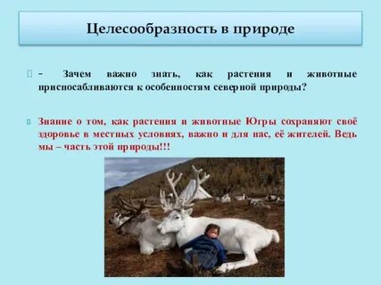 Зачем природе