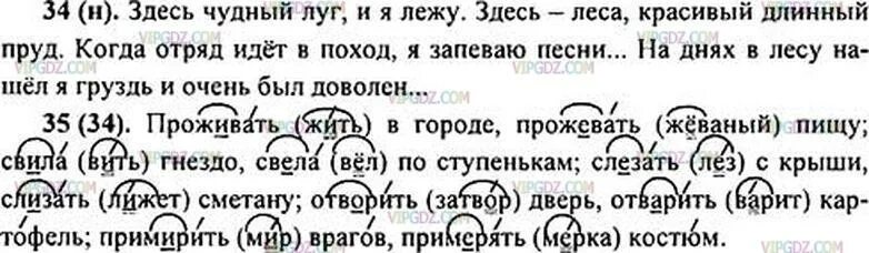 Упр 34 10 класс. Русский язык 5 класс номер 34. Упражнения 34 по русскому языку 5 класс ладыженская. Русский 5 класс задания 34 ладыженская. Упражнение 34 по русскому языку 5 класс.