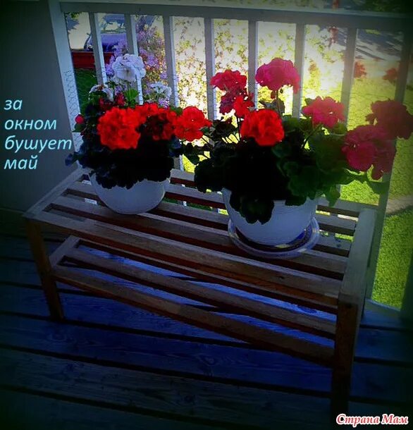 Песня бушует май. А за окном бушует месяц май. бушующий май.