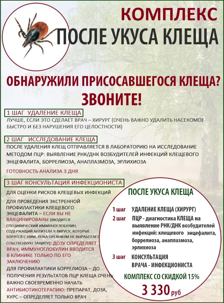 Если укусил клещ какие таблетки нужно пить. Профилактические препараты после укуса клеща. Профилактика клещевого энцефалита после укуса. Профилактика от укуса клеща.