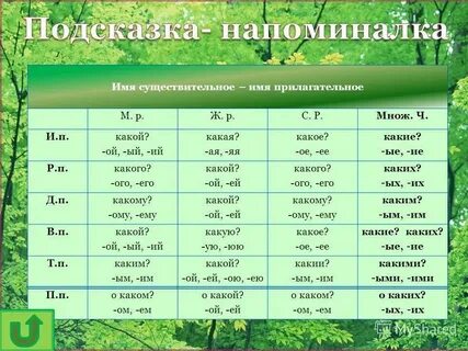 Падежи прилагательных сказуемых