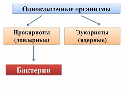 Примитивный вопрос это