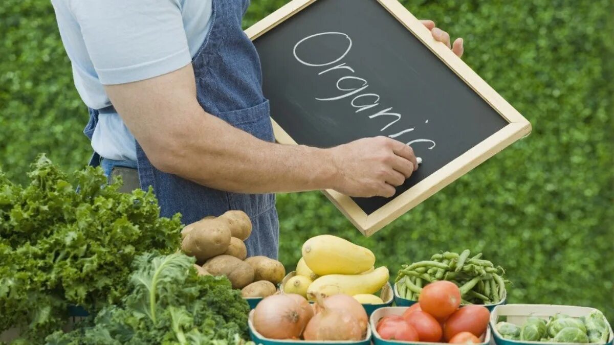 Органические продукты. Органические фрукты и овощи. Экологически чистая пища. Экологически чистое питание. Сбор овощей.