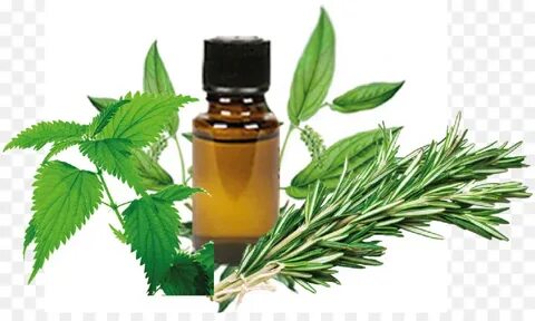 Herb oil