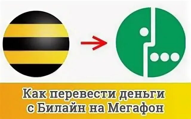 Можно перейти с билайна на мегафон