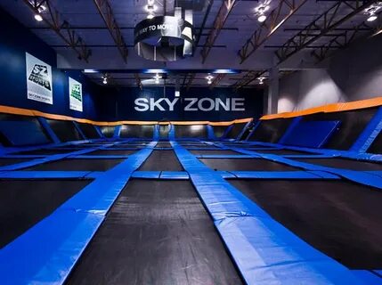 Skyzone sky04x