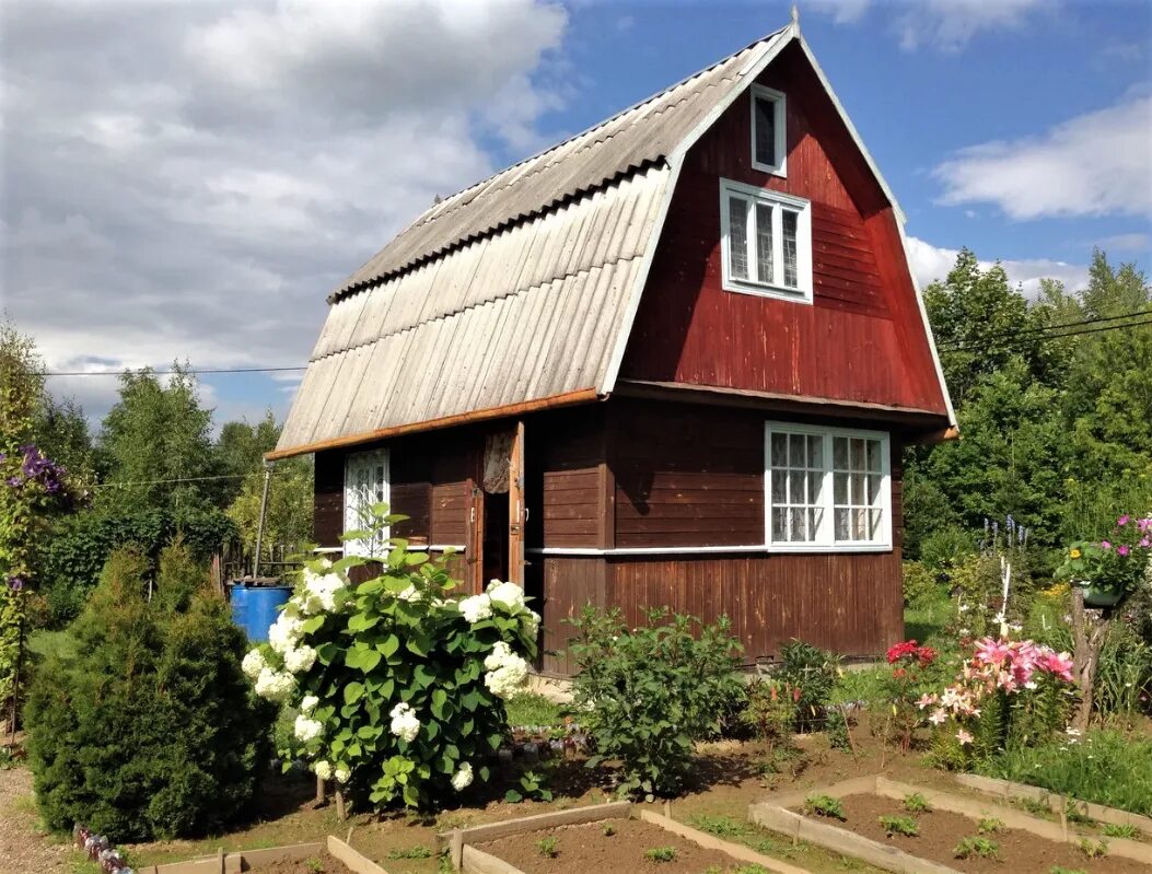 Дача от какого слова