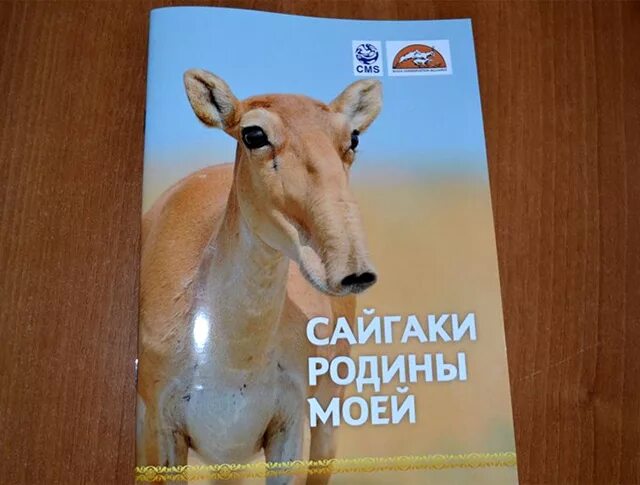 Сайгак книга. Сайгак астраханской области красная книга. Сайгак сибирский. Звери красной книги казахстана. Сайгак описание.