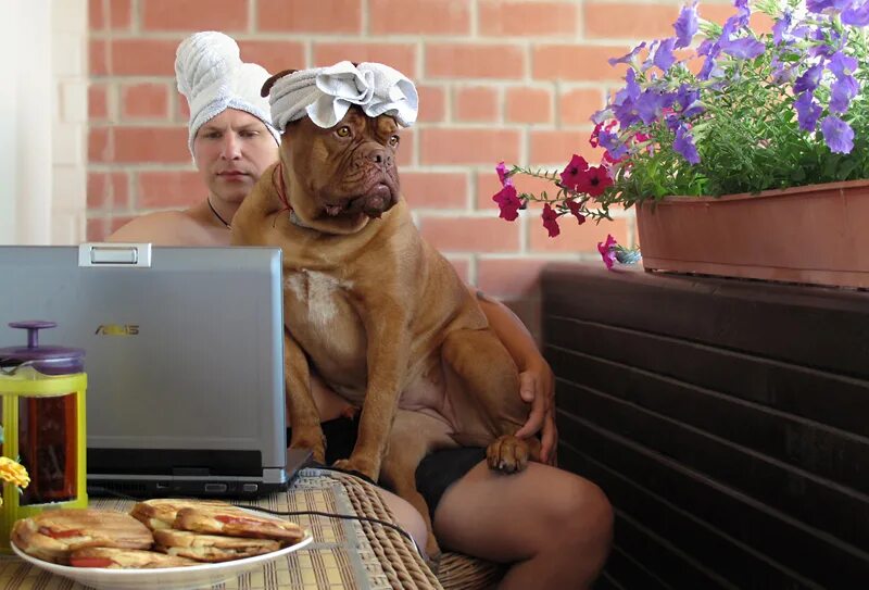 Невыносимый зной. Прикольные картинки про жару. Спасение от жары. Жаркое лето. Жара картинки.