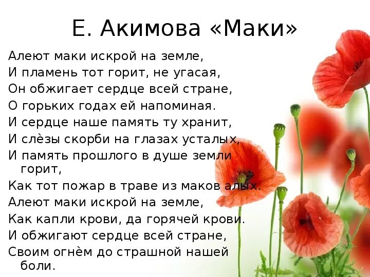 Сколько дней по мнению тети оли цветут. Стих про Мак. Стихи о маках и войне. Стихотворение про маки. Небольшой стишок про Мак.