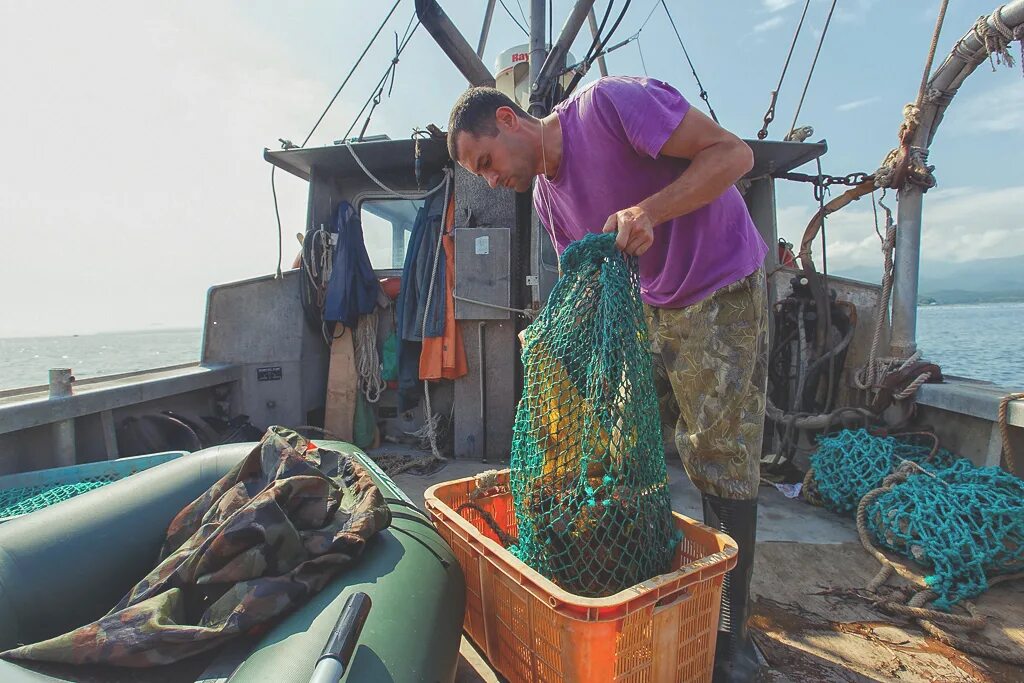 Как добывают морскую