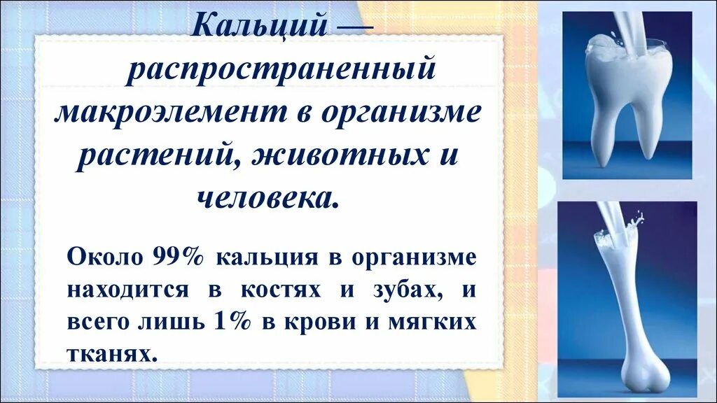 Соединения кальция в организме