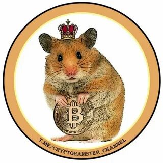 Хамстер коин