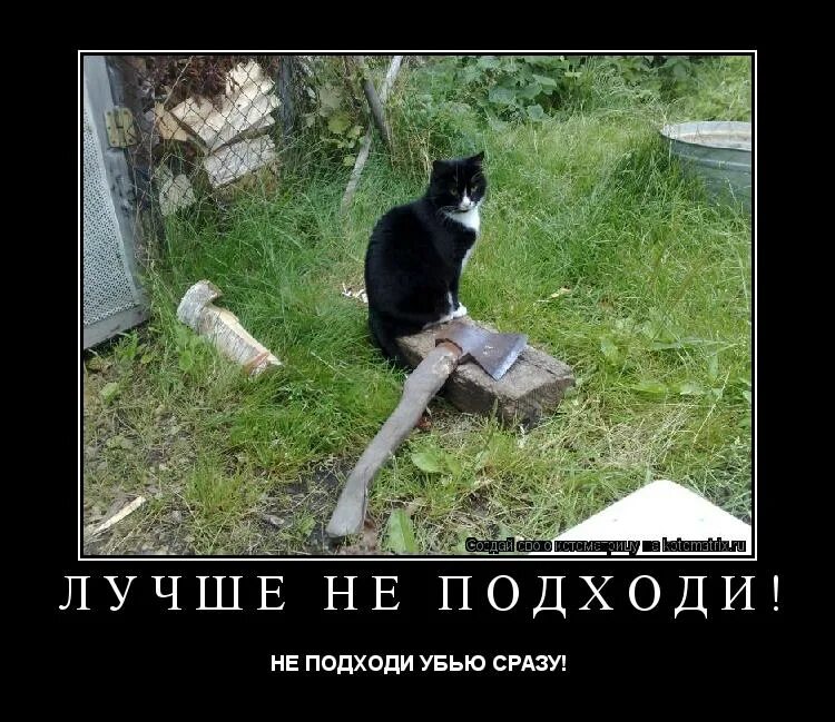 Во избежание травм не. Злой кот с топором. Всем на тебя наплевать. Мужик подходит ко всем мемы. Кот смешные надписи.