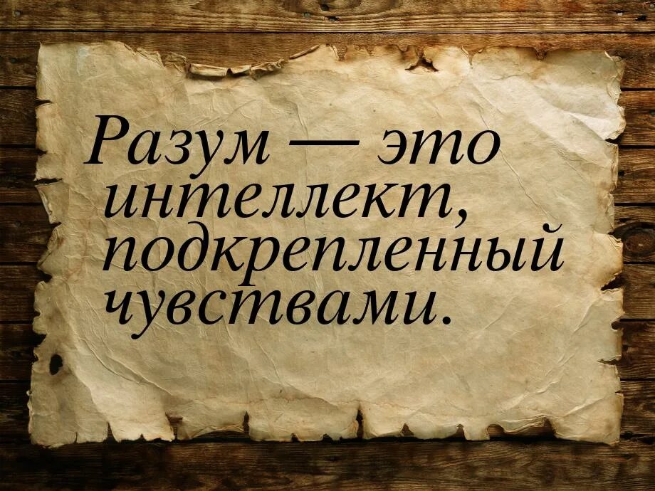 Разум прежде всего. Разум прежде всего