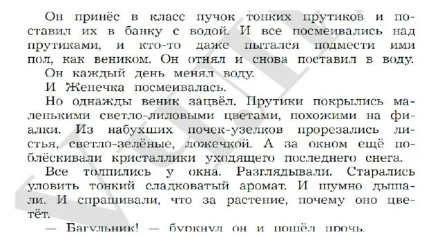 Костя принёс в класс пучок изложение. Изложение Костя принес в класс пучок тонких 4 класс. Волшебные прутики изложение. Изложение багульник 4 класс.