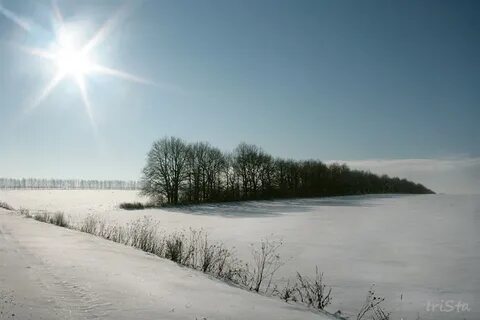 Зимний полдень