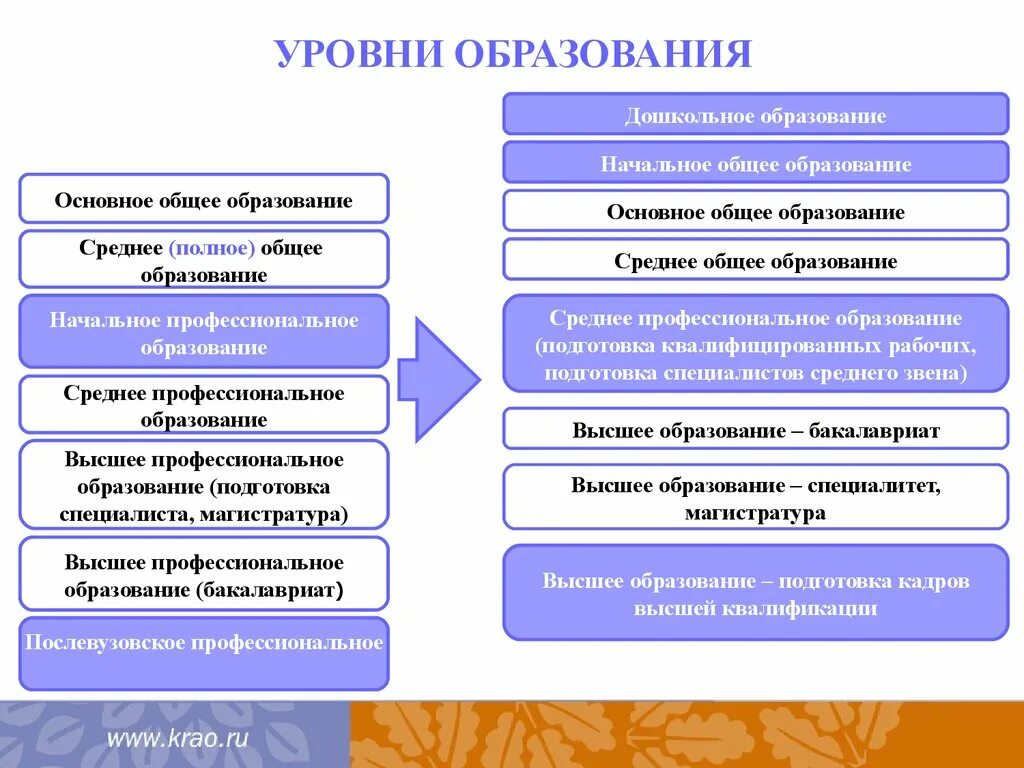 Система начального образования россии. Начальное основное и среднее общее образование. Уровни образования. Начальное основное среднее образование. Основное общее образовани.