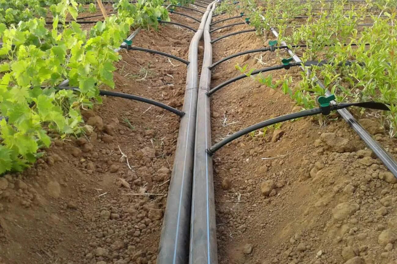 Трубка поля. Алюминиевые трубы для орошения полей. Трубки для мелиорации. Чугунная труба орошения. Трубка поля.