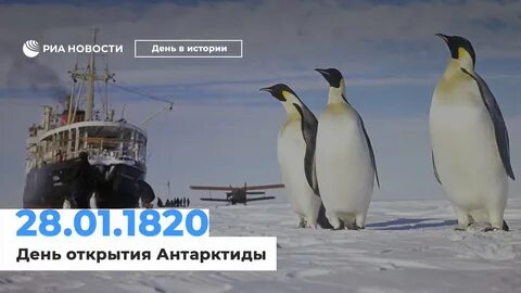 Экспедиции прибывают в антарктиду егэ