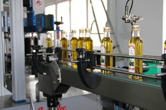 Производство оливкового масла. Завод оливкового масла. Завод маслин. Производство оливы.