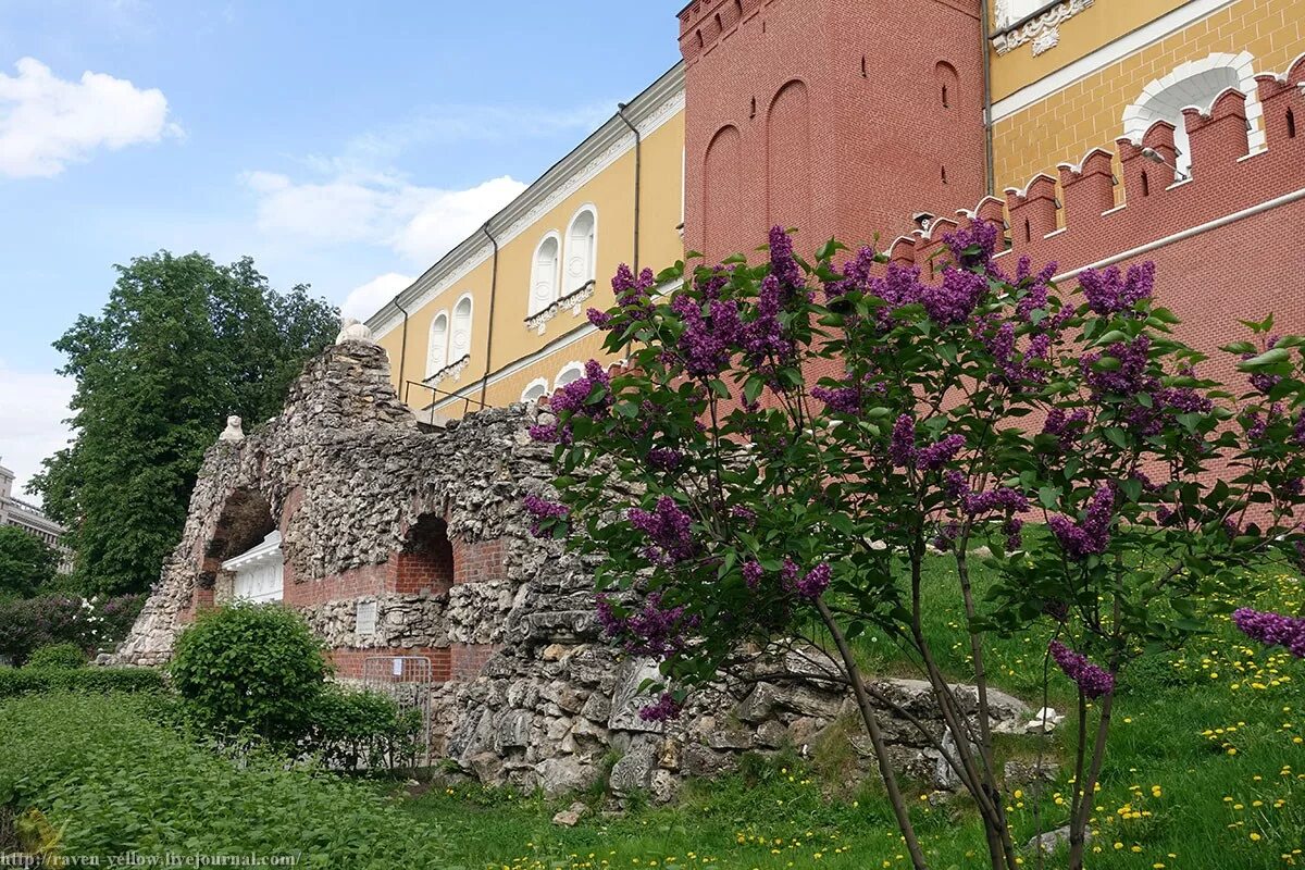 Содержание александровский сад 3. Александровский сад москва сирень. сирень в александровском саду москва. екатерининский парк сирень. сирень в александровском парке спб.