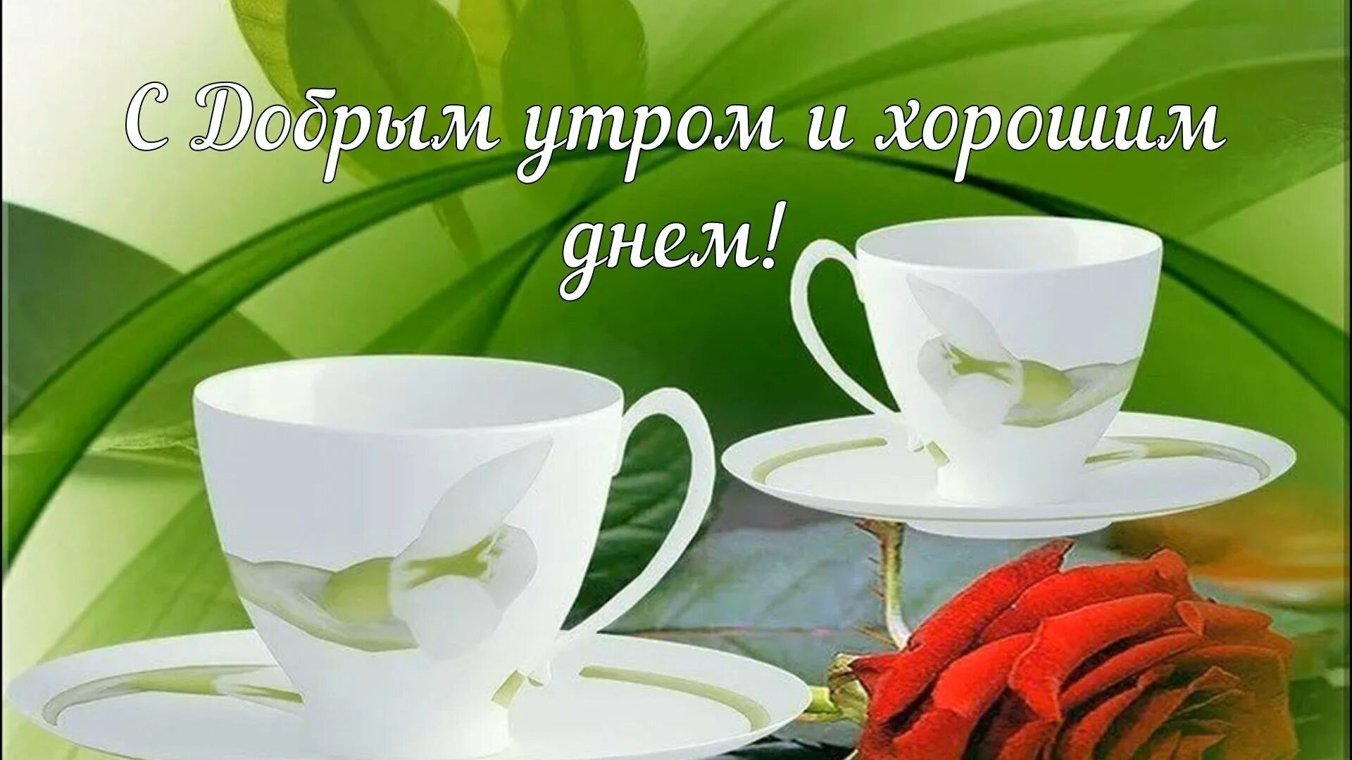 Доброе утро и отличного дня новые. Стильные пожелания с добрым утром. утренние пожелания. необычные открытки с добрым утром. пожелания с добрым утром и хорошего дня.