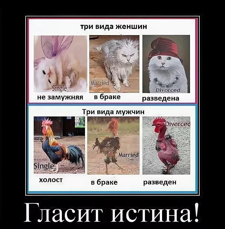 Ответы Mail.ru: Жизнь до свадьбы- просто сказка, а после свадьбы... свистопляска