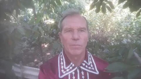 Черников ведун